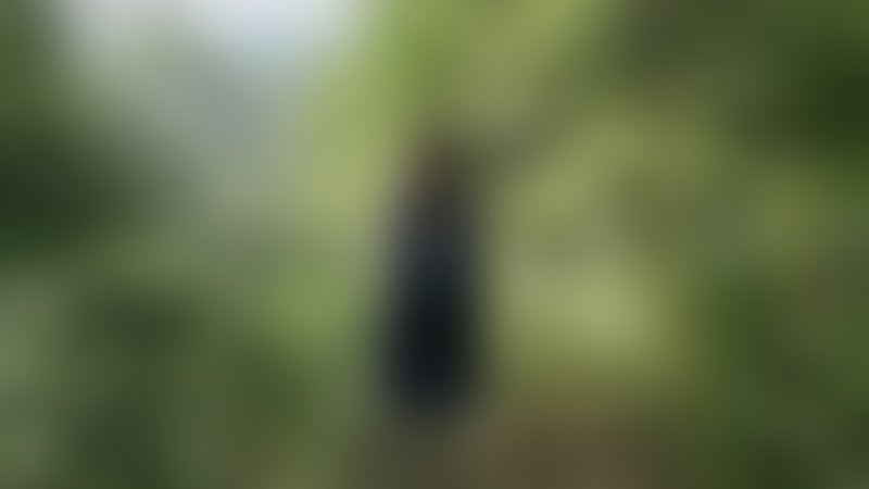 Alice - The Darker Side of the Mirror - Trailer - Englisch - SD