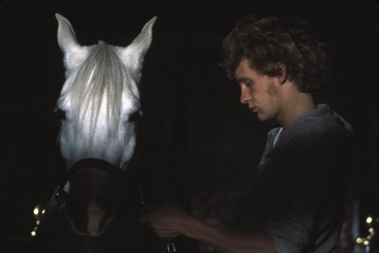 Equus - Szenenbild 1