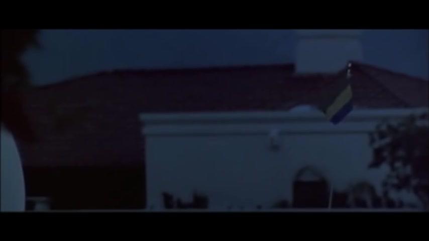 Black Cats - Trailer - Englisch - SD