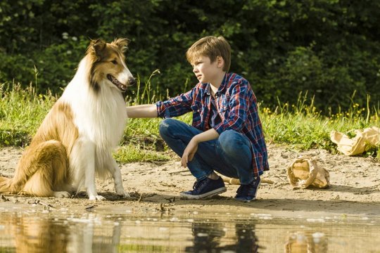 Lassie - Eine abenteuerliche Reise - Szenenbild 7