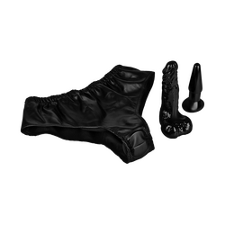 Interchangeable Butt Plug and Dildo