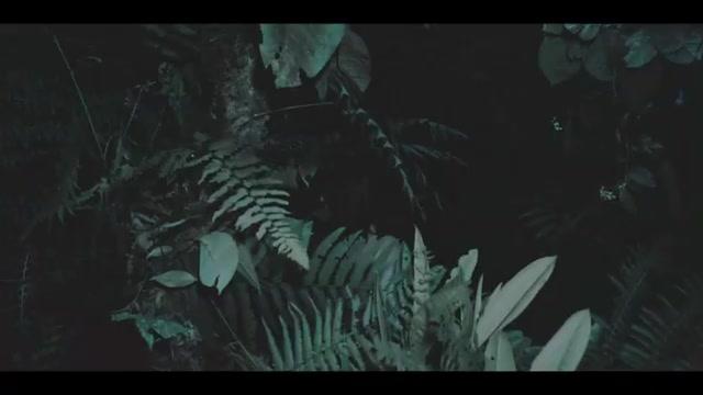 The Devil's Teardrop - Trailer - Deutsch - SD