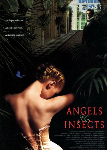 Engel und Insekten - Poster 1