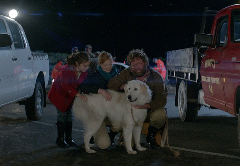 Oddball DVD, Bluray oder VoD leihen VIDEOBUSTER.de