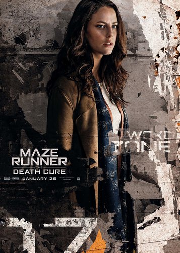 Maze Runner 3 - Die Auserwählten in der Todeszone - Poster 9