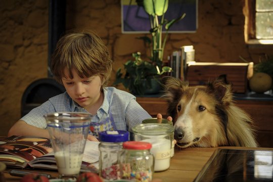 Lassie 2 - Ein neues Abenteuer - Szenenbild 19