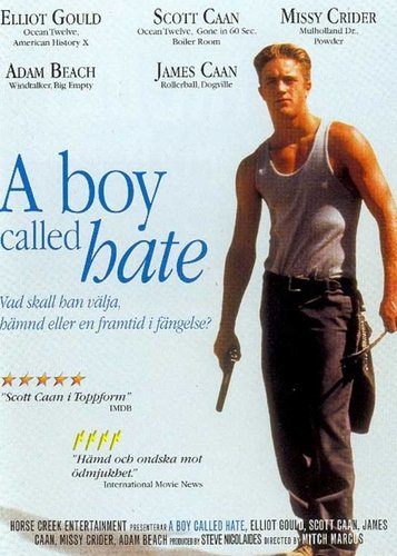 A Boy Called Hate - Poster 1