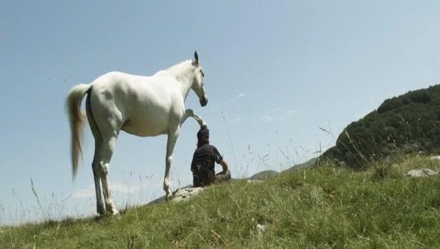 Ein Pferd namens Gazelle - Trailer - Deutsch - SD
