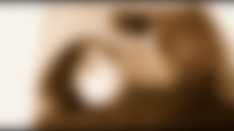 Virgin Forest - Im Wald der Jungfrauen - Trailer - Englisch - SD