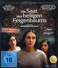 Die Saat des heiligen Feigenbaums