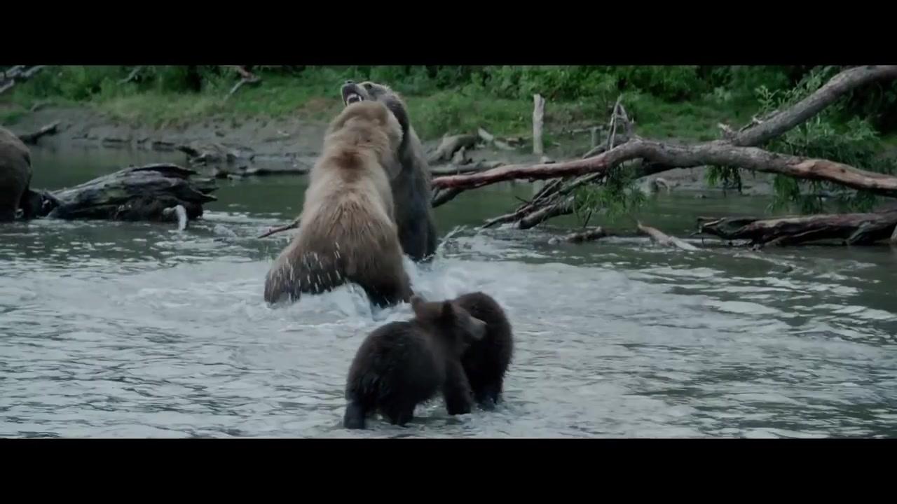 Im Land der Bären - Trailer - Französisch - HD