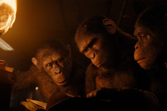 Der Planet der Affen 4 - New Kingdom - Szenenbild 12