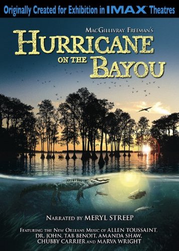 IMAX - Hurrikan über Louisiana - Poster 1