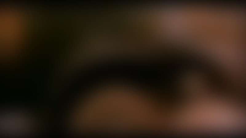 Operation Dumbo - Trailer - Englisch - SD