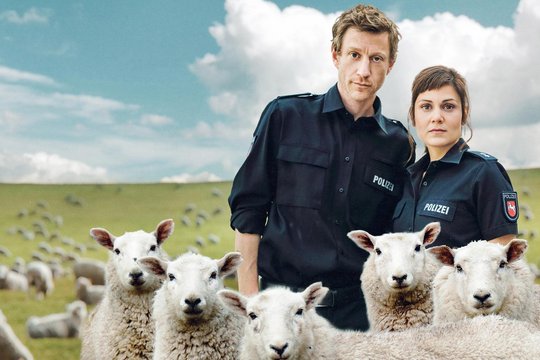 Friesland 6 - Aus dem Ruder & Gegenströmung - Szenenbild 1