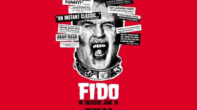 Fido - Wallpaper 5