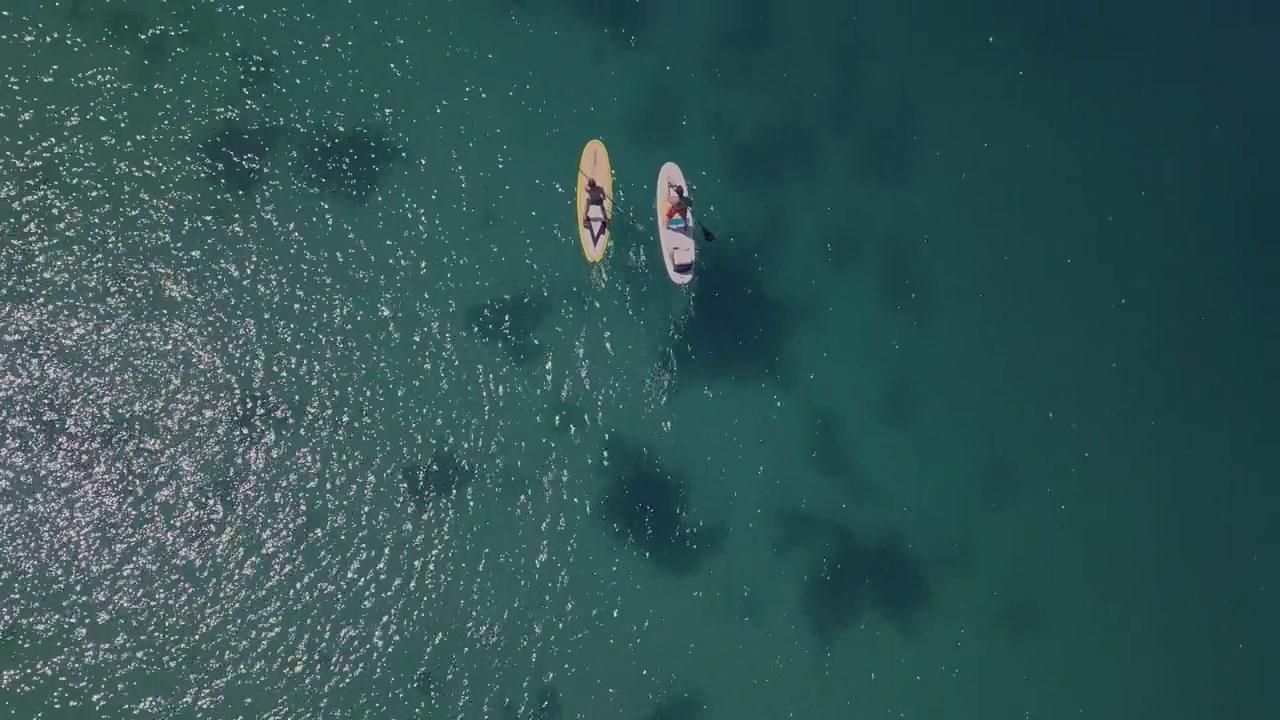 6-Headed Shark Attack - Trailer - Deutsch - HD