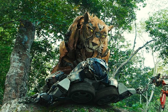 Transformers - Aufstieg der Bestien - Szenenbild 4
