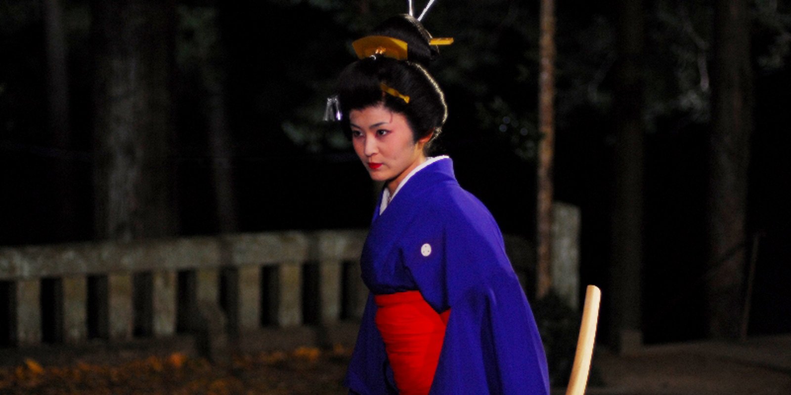 Geisha vs. Ninjas