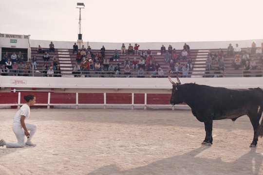 Animale - Szenenbild 4