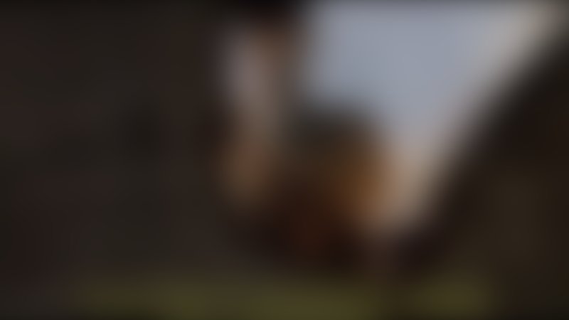 Dellamorte Dellamore - Trailer - Italienisch - SD