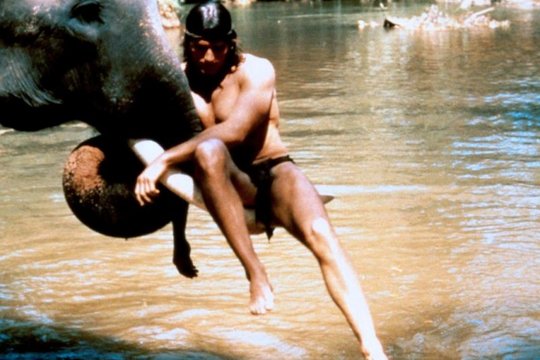 Tarzan - Herr des Urwalds - Szenenbild 3