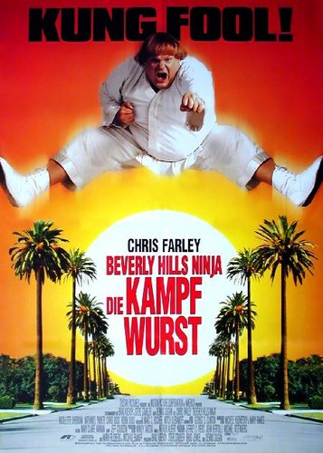Beverly Hills Ninja - Poster 1