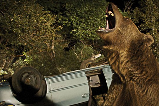 Bear - Szenenbild 5