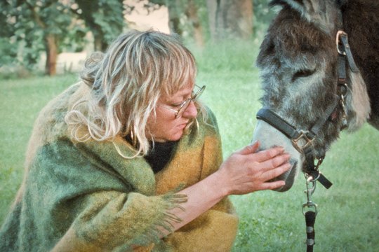 Donkey Days - Szenenbild 4