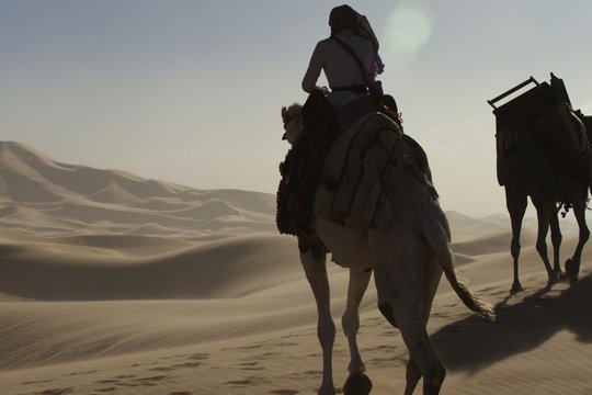 Königin der Wüste - Szenenbild 12