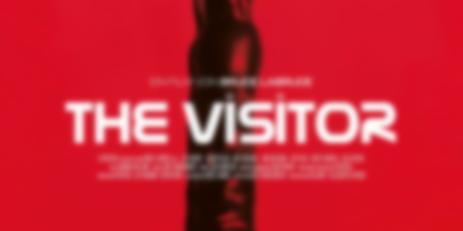 The Visitor