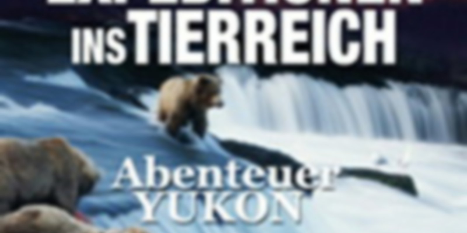 Expeditionen ins Tierreich - Abenteuer Yukon