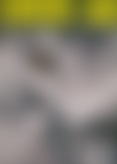 O*r 40 N*. 65