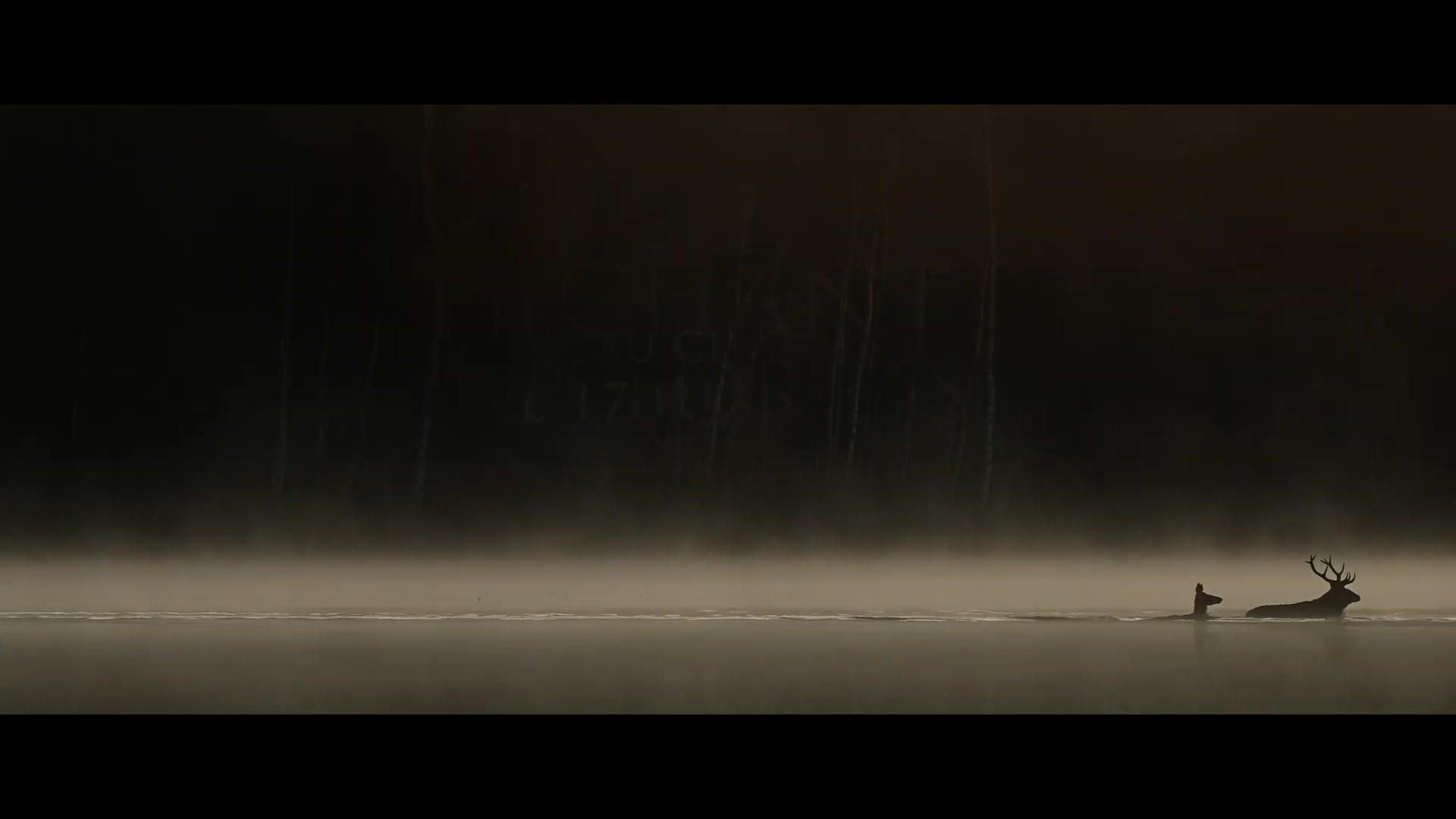 Das Flüstern der Wälder - Teaser - Französisch - HD