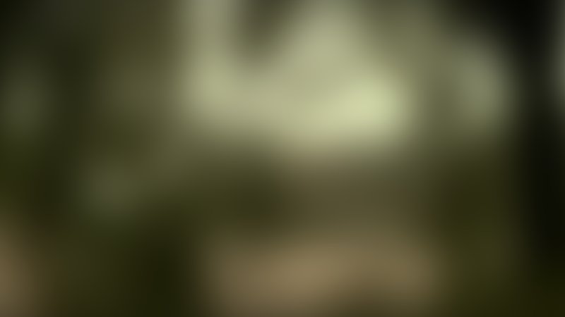 Let Me Make You a Martyr - Trailer - Deutsch - SD