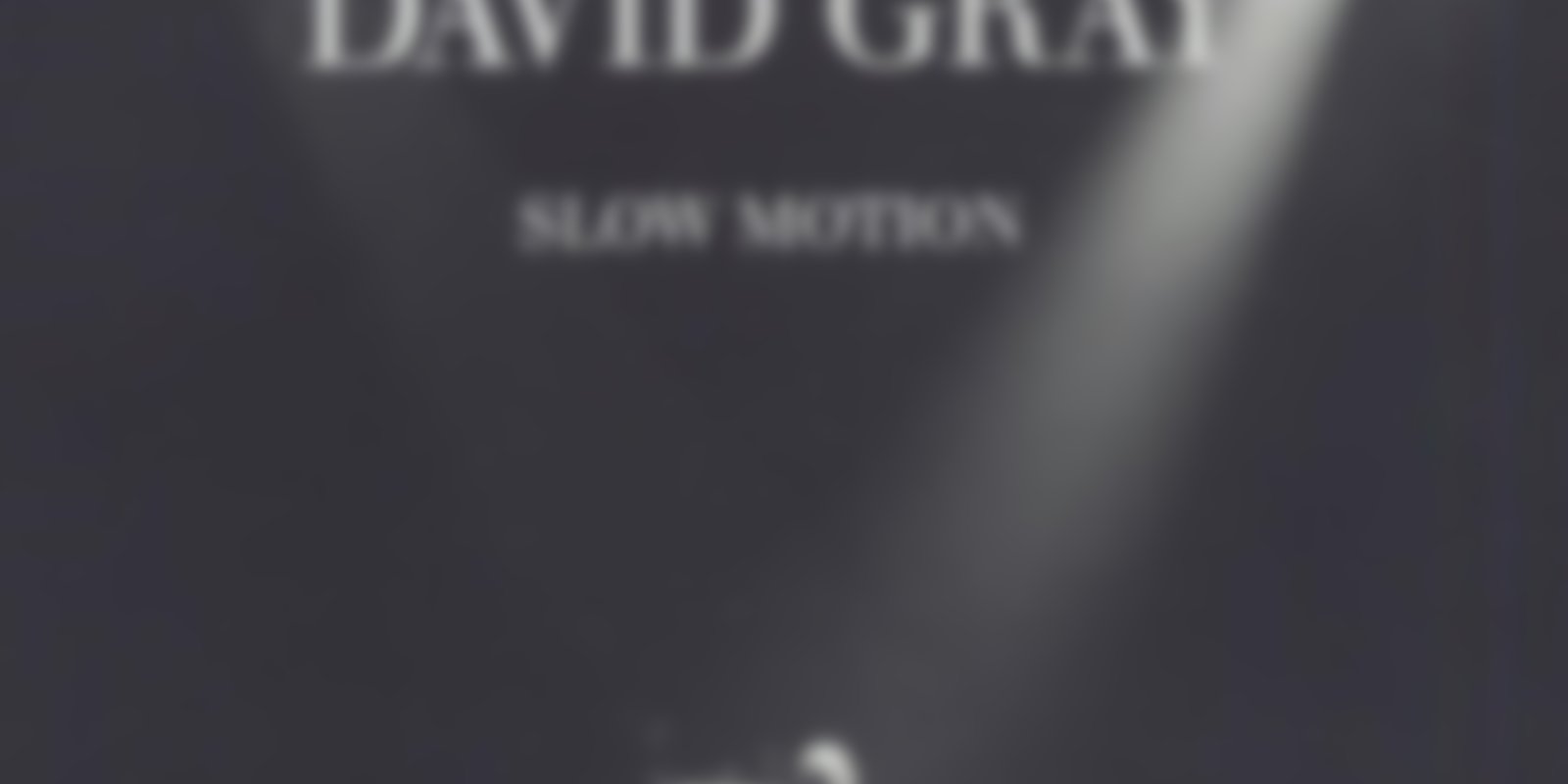 David Gray - Live in Slow Motion