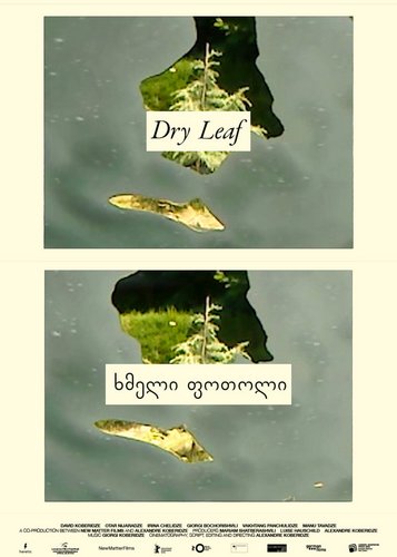 Dry Leaf - Poster 4