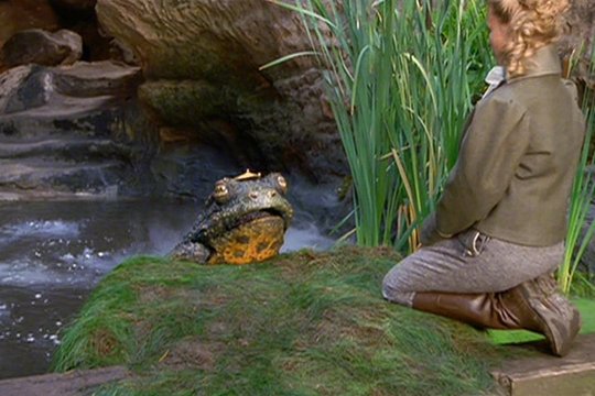 Der Froschkönig - Szenenbild 1