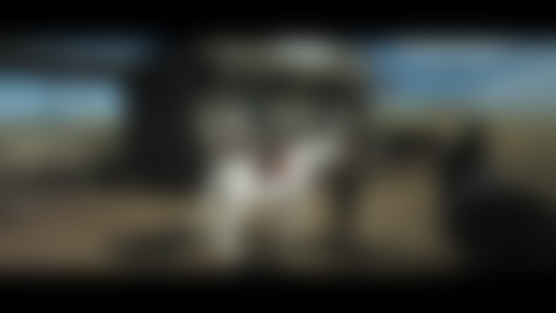 Road to Hell - Trailer - Deutsch - SD