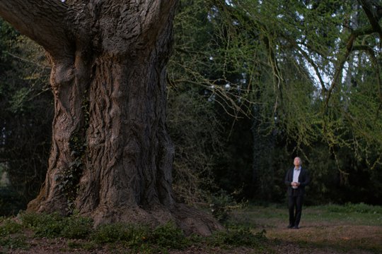 Silent Friend - Stille Freundin - Szenenbild 2