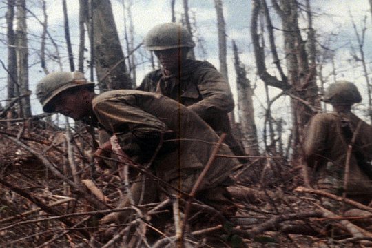 Der Vietnamkrieg - Szenenbild 3