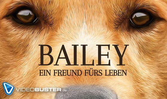 Bailey - Ein Freund fürs Leben: Hund Bailey fragt nach dem Sinn des Lebens