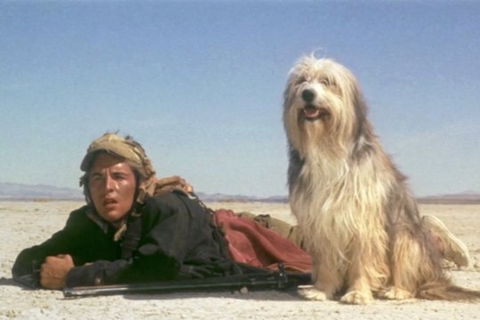 Der Junge und sein Hund - Apocalypse 2024 - Szenenbild 2