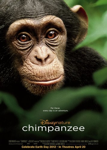 Schimpansen - Poster 3
