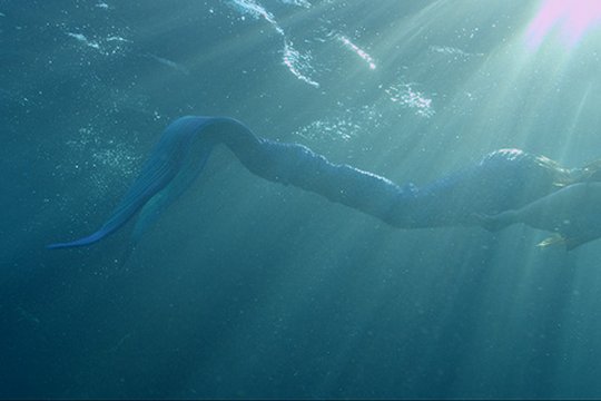 Die kleine Meerjungfrau - Freunde fürs Leben - Szenenbild 4