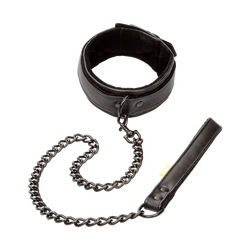 Collar &amp; Leash, 49,5 cm