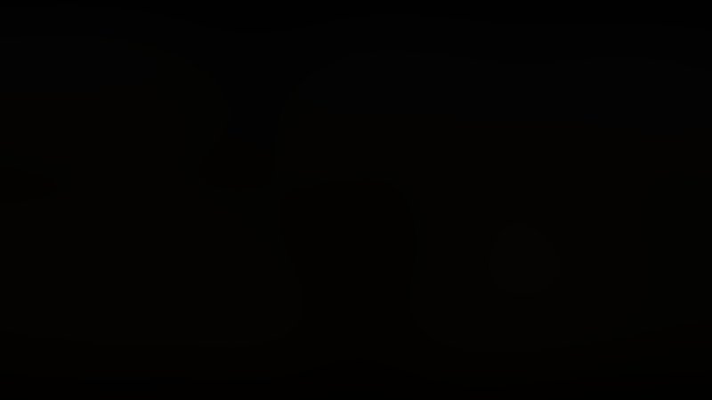 Animal 2 - Trailer - Deutsch - SD