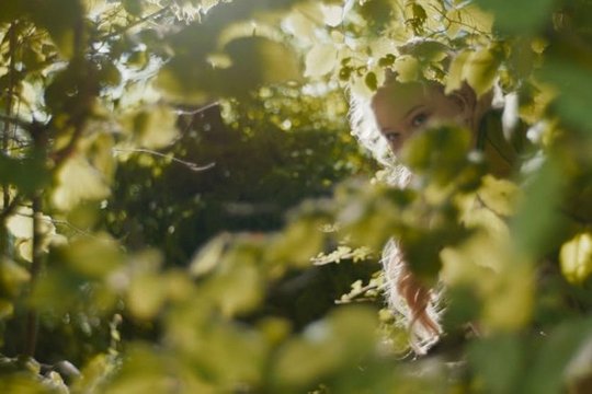 Der Wunderweltenbaum - Szenenbild 1