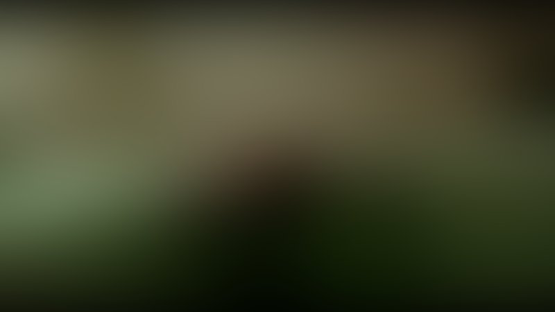 The Death Factory Bloodletting - Trailer - Englisch - SD