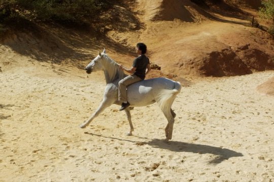 Ein Pferd namens Gazelle - Szenenbild 4